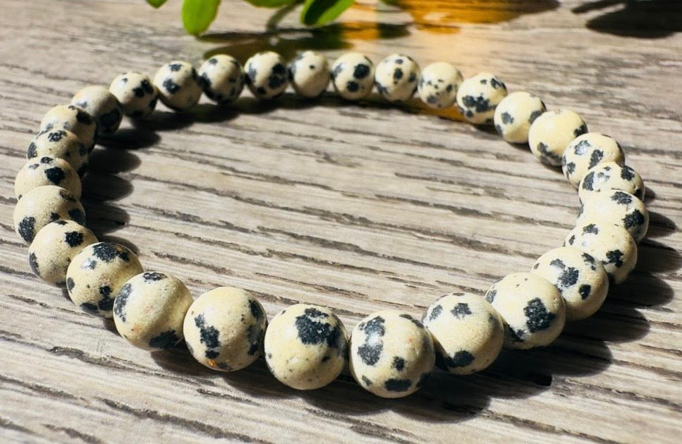 Natural Dalmatian Jasper Bead Bracelet – 8mm