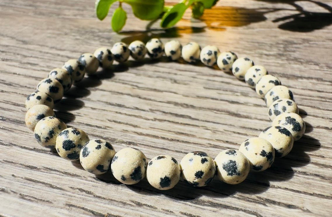 Natural Dalmatian Jasper Bead Bracelet – 8mm