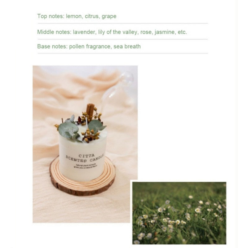 Aromatherapy Candle Soy Wax Scented Candle