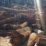 Wood Tree of Life Healing Finger Ring