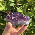 Natural Dream Amethyst Quartz Crystal Cluster Specimen Healing
