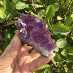 Natural Dream Amethyst Quartz Crystal Cluster Specimen Healing