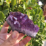 Natural Dream Amethyst Quartz Crystal Cluster Specimen Healing