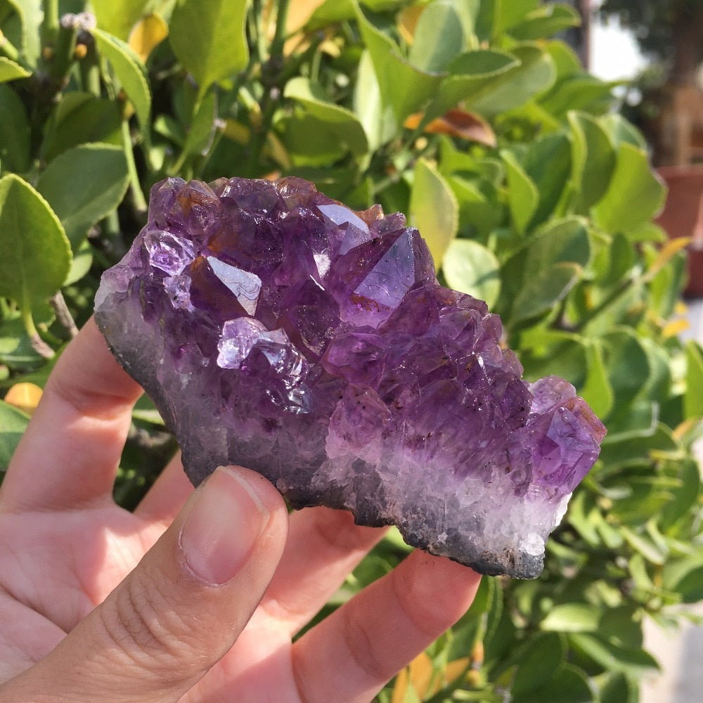 Natural Dream Amethyst Quartz Crystal Cluster Specimen Healing