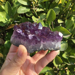 Natural Dream Amethyst Quartz Crystal Cluster Specimen Healing