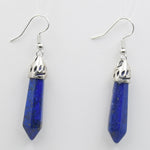 Dangle Hook Earrings