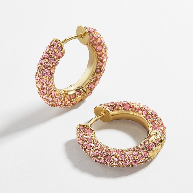 Rainbow Earrings