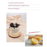 Aromatherapy Candle Soy Wax Scented Candle