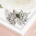Fashion Crystal Water Drop Dangle Earrings