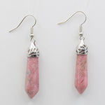 Dangle Hook Earrings